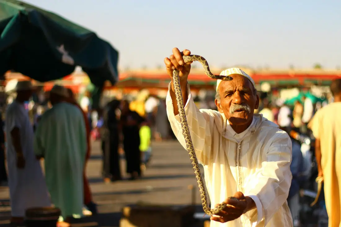 Exploring Jemaa el-Fnaa Square and the Enigmatic Snake Charmers of Marrakech