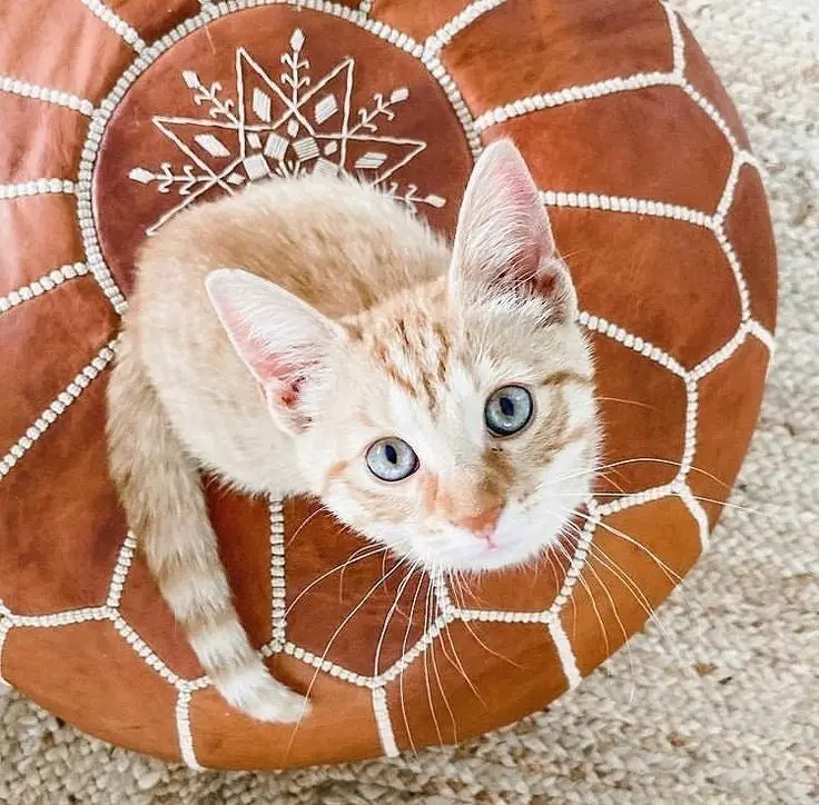 Light brown Moroccan Leather Pouf