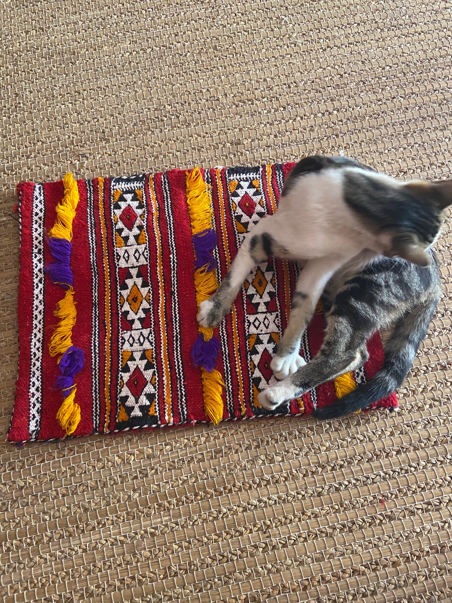 Kilim Pillow